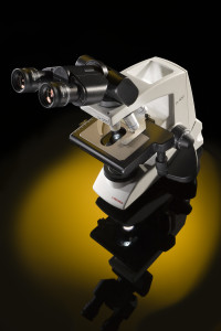 Lx 500 Ergo Compound Microscope